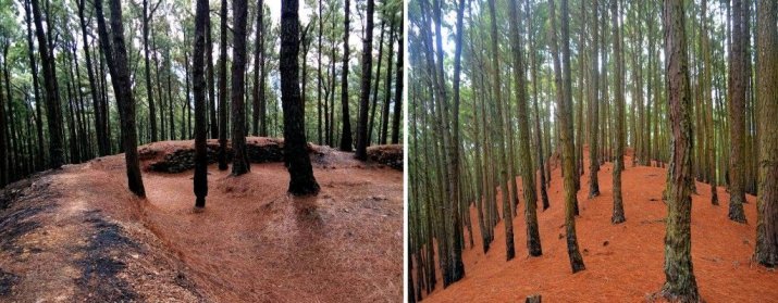 badulla haputale Haldummulla Portuguese Fort